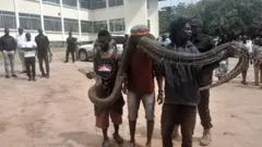 Kundi kubwa la watu wanaofika kumshudia baadhi wakiwa wamebeba zawadi kama vile Mbuzi na Mtama ili kumuomba baraka liliifanya serikali kumhamisha chatu
