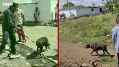 టీఆర్ఎస్ జెండా కోసం డాగ్ స్క్వాడ్ తనిఖీలు
