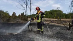 пожар у делиблатској пешчари