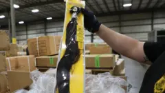 Конфискованные волосы