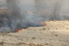 Lafa Isiyoolootti gubachaa jiru