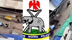 Ọgbaaghara n'ahịa Mandilas dị na Legos