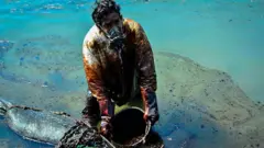 نشت سوخت از کشتی غرق شده و فاجعه زیست محیطی در جزایر موریس