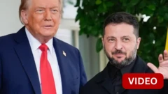 TRUMP ZELENSKY