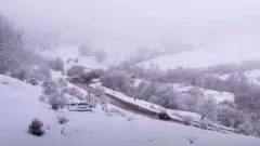 Şurnux