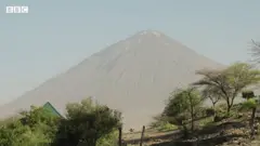 Mlima