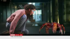 ပုံရိပ်ယောင်နည်းပညာနဲ့ ပြတိုက်များ