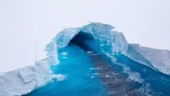 آئس برگ