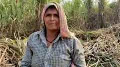 'खेती तो एक सीज़न की नष्ट होगी, क़ानून तो भविष्य ही चौपट कर देगा’