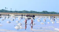 "අපිට මේ අවුරුද්දේ දවස් 05ක් වගේ වැඩ කරන්න ලැබුණේ. අපි දරුවෝ ජීවත් කරවන්නේ කොහොමද කියලා දහ අතේ කල්පනා කරනවා. මෙහෙ වෙන කරන්න රස්සාවලුත් නැහැ."