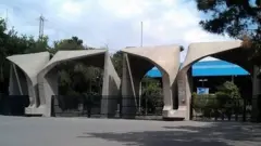 دانشگاه