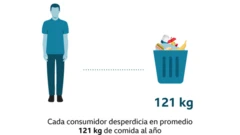 grafico