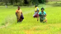 'விமான நிலையம் வராது... ஆனால்?' – பரந்தூர் மக்களின் மனநிலை என்ன? பிபிசி தமிழ் கள ஆய்வு