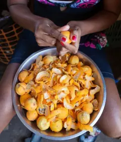 Pessoa descascando fruta em uma bacia cheia de cascas