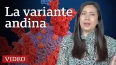 Ana Maria Roura