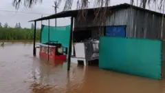 कोल्हापूर
