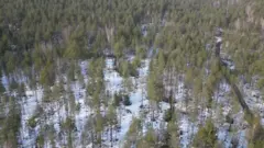 Terreno coberto de neve com árvores espalhadas