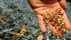 फाईल फोटो 