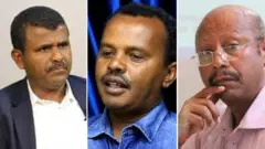Mikaa'el Booran, koloneel Gammachuu Ayyaanaa fi Dr Shiggux Gaataa