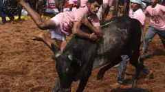 ஜல்லிக்கட்டு உச்ச நீதிமன்றம்