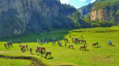 አዲስ ሃይኪንግ
