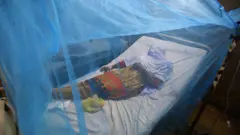 डेङ्गी भएर अस्पताल भर्ना भएकी एक बिरामी