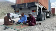 چمن 