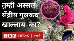 गुजरात, गुलाब, गुलकंद, शेती