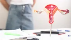 Woman looking at desk with woman's pelvic anatomy model.