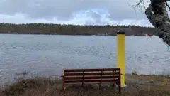 Un banco de madera, con un poste amarillo al lado, sobre una orilla cubierta de hierba, mira hacia un río hacia una zona cubierta de árboles al otro lado.