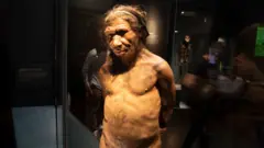 Neandertal