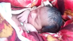 నవజాత శిశువు