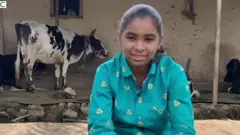બળદ દોડ