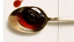 сливи