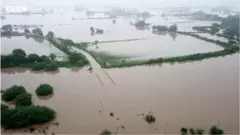 ઘેડ