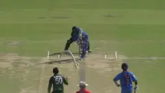 क्रिकेट