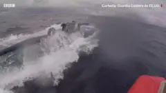 Imagen del submarino