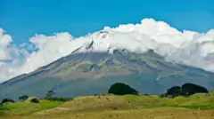 Gaarri Taranakii ni safeeffatama