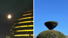 Left: The moon as a bright dot in the night sky; Right: A partial moon in daylight that appears small compared to the jungle in the foreground
