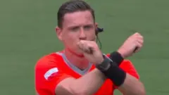 sudija, rasizam u fudbalu