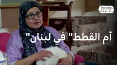 "أم القطط" لبنانية تحول متجرها إلى مأوى للقطط المشردة