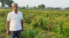 ગિરીશભાઈ પટેલ