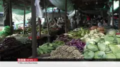 စက်သုံးဆီ အခက်အခဲကြောင့် ကုန်စိမ်း အလေအလွင့်များလာ