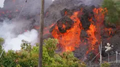 Lava
