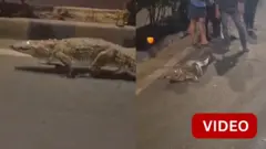 குஜராத் 