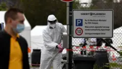almanya virus
