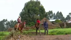 ሩባ ኣባይ