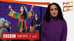 سیربین