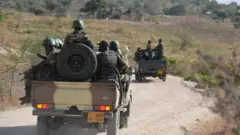 Ndị agha Naijiria