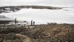 گلیشیئر